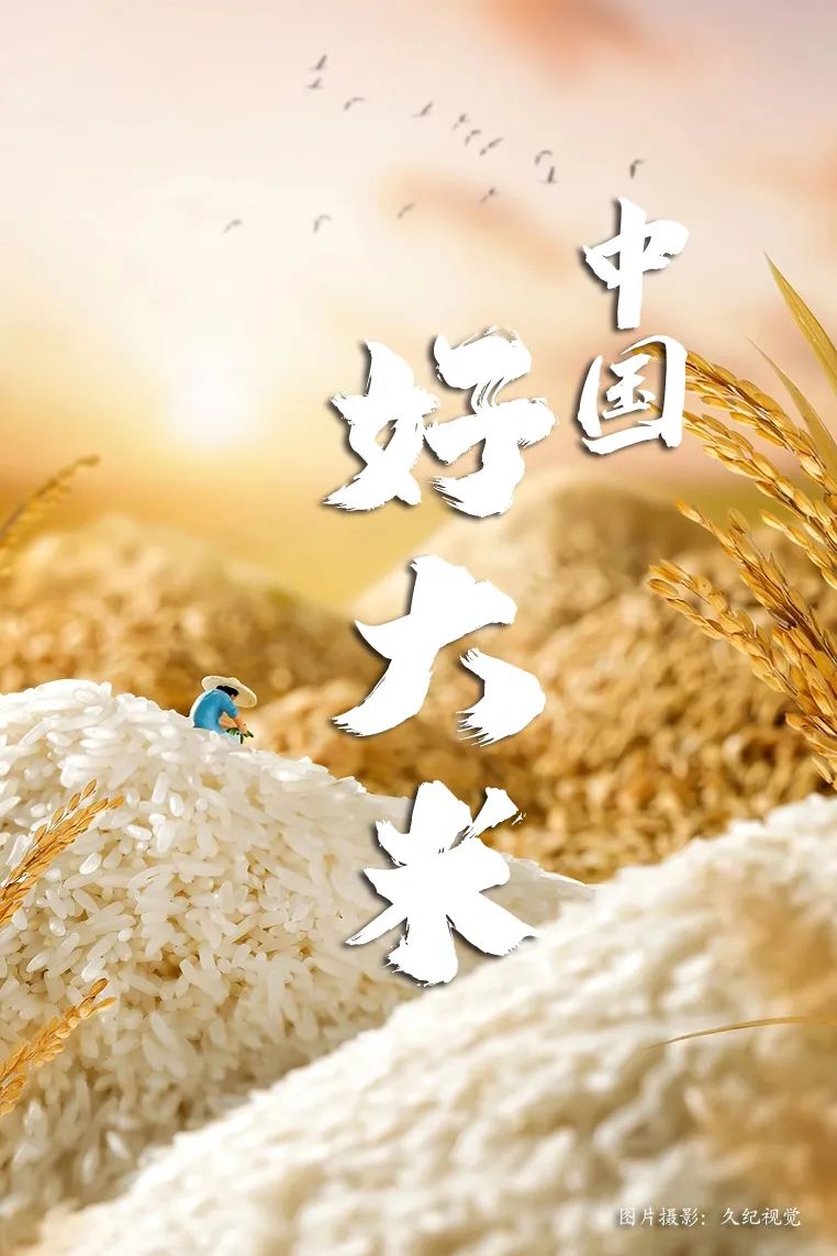 富硒大米佳木斯(佳木斯大米的价格是多少)-硒宝网