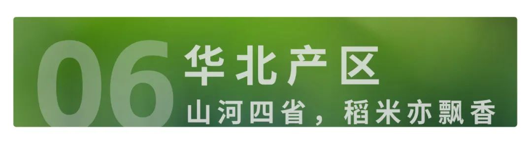富硒大米佳木斯(佳木斯大米的价格是多少)-硒宝网