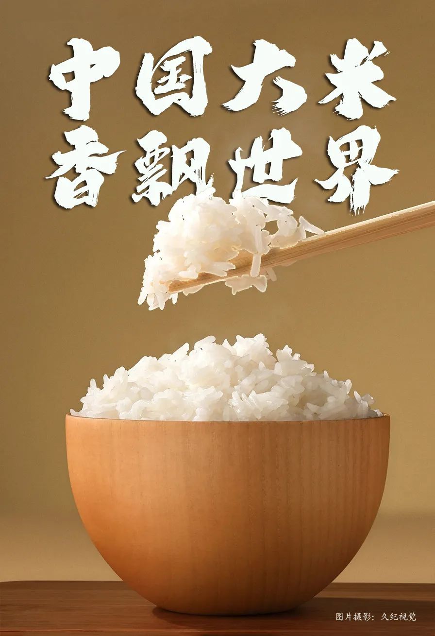 富硒大米佳木斯(佳木斯大米的价格是多少)-硒宝网