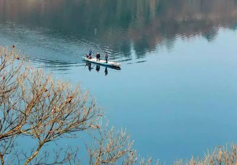 富硒大米 有机(大米机富硒有什么作用)-硒宝网