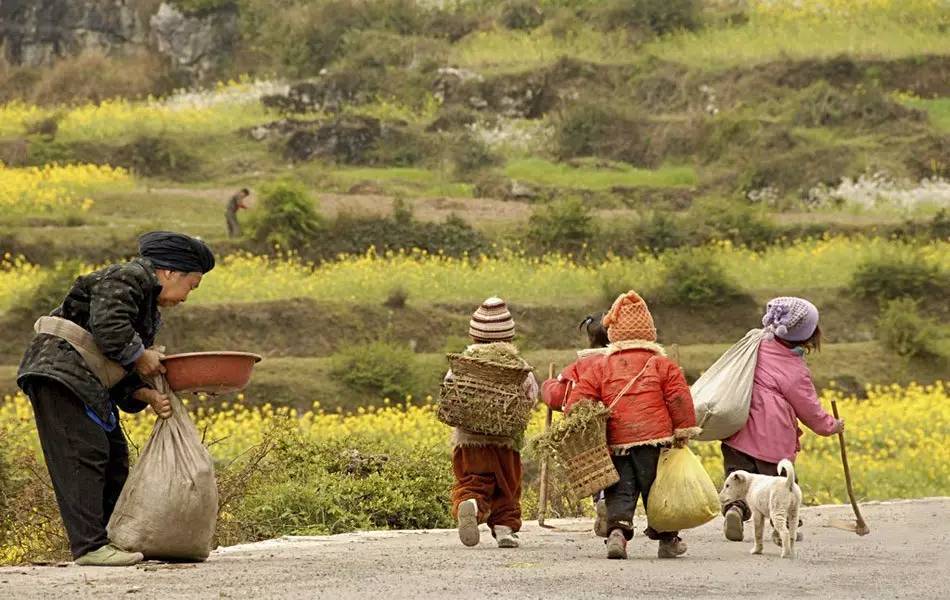 富硒大米 有机(大米机富硒有什么作用)-硒宝网