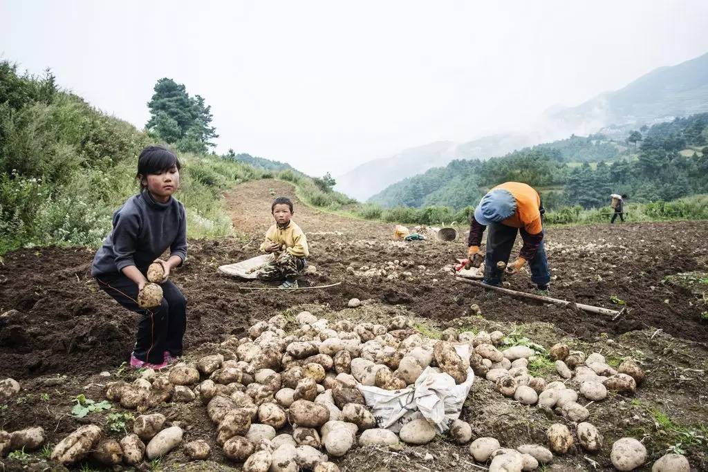 富硒大米 有机(大米机富硒有什么作用)-硒宝网