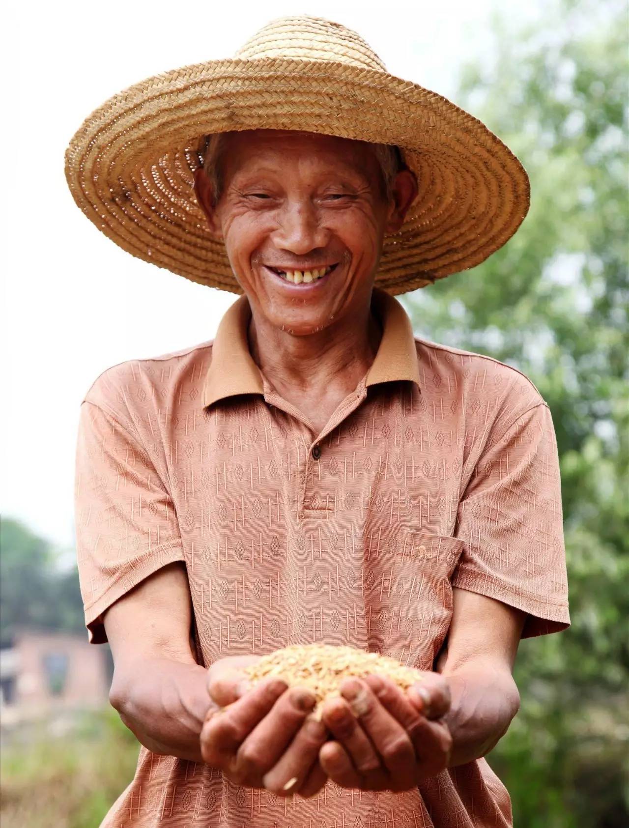 富硒大米 有机(大米机富硒有什么作用)-硒宝网