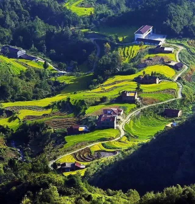 富硒大米 有机(大米机富硒有什么作用)-硒宝网