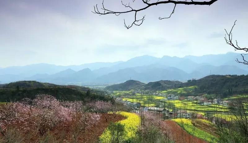 富硒大米 有机(大米机富硒有什么作用)-硒宝网