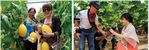 富硒大米 南宁（广西扶贫产品富硒大米）-硒宝网