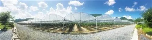 富硒大米 南宁（广西扶贫产品富硒大米）-硒宝网