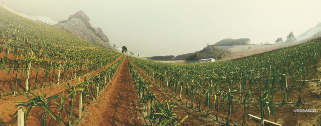 富硒大米 南宁（广西扶贫产品富硒大米）-硒宝网