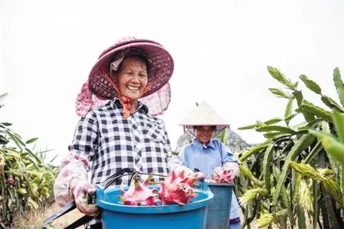 富硒大米 南宁（广西扶贫产品富硒大米）-硒宝网