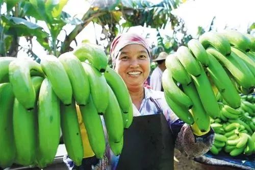 富硒大米 南宁（广西扶贫产品富硒大米）-硒宝网