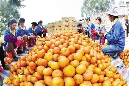 富硒大米 南宁（广西扶贫产品富硒大米）-硒宝网