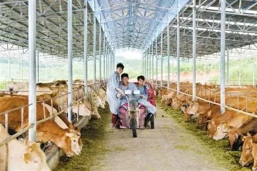 富硒大米 南宁（广西扶贫产品富硒大米）-硒宝网