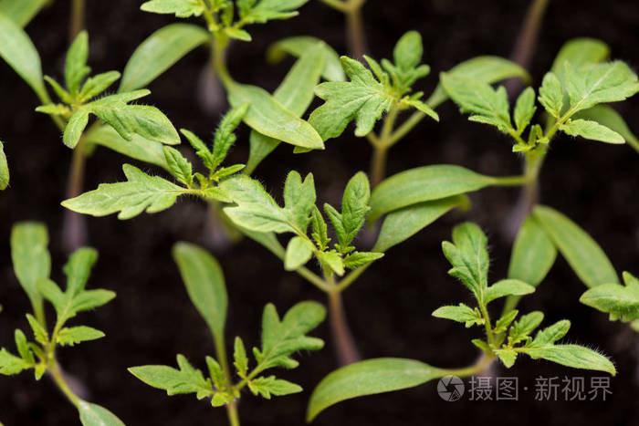 寒寒富硒硒大米(富硒大米好吃吗)-硒宝网