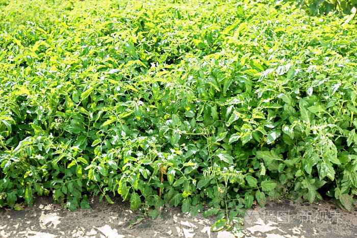 寒寒富硒硒大米(富硒大米好吃吗)-硒宝网