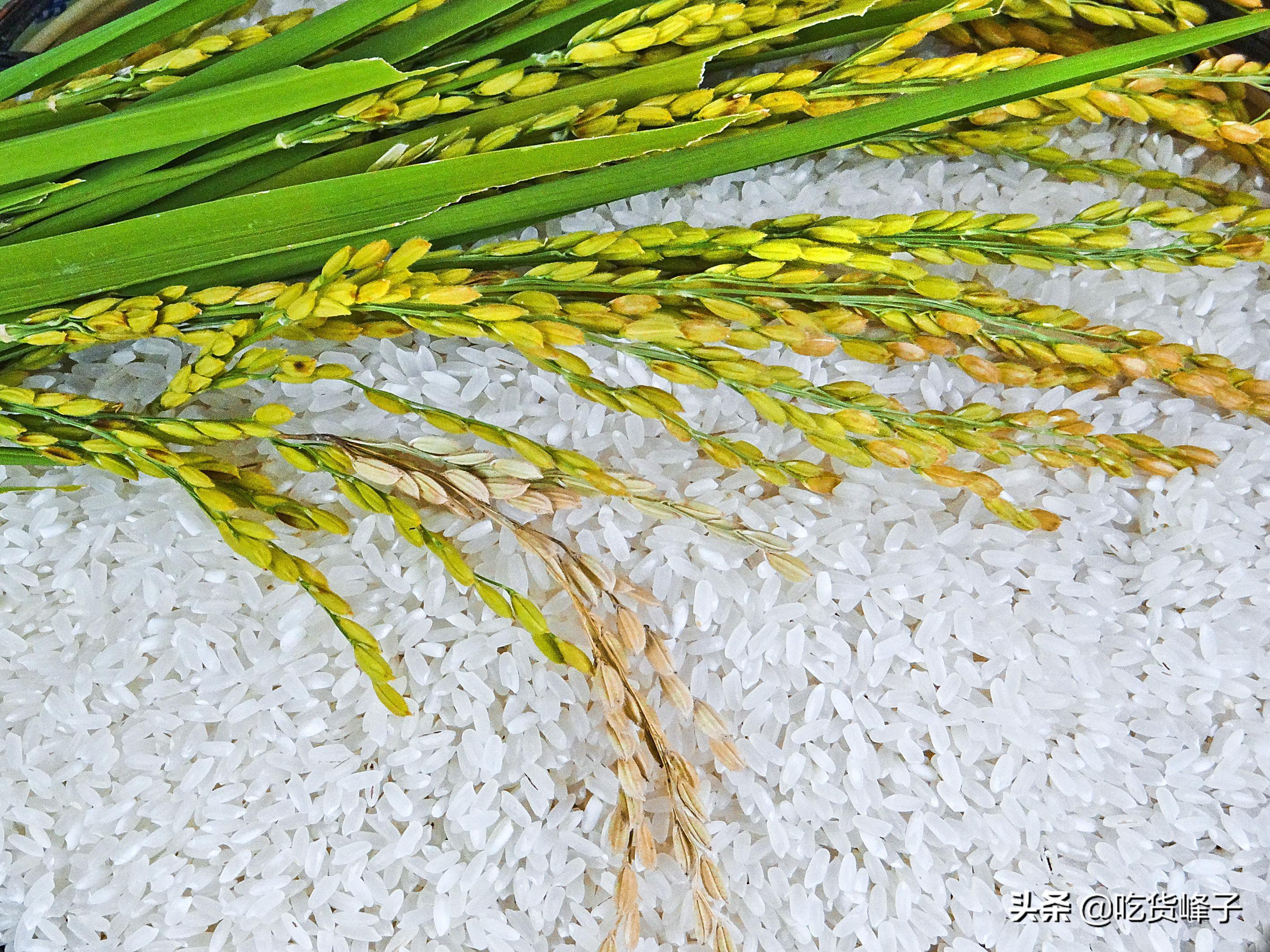 富硒大米 有味（大米味富硒有哪些品种）-硒宝网