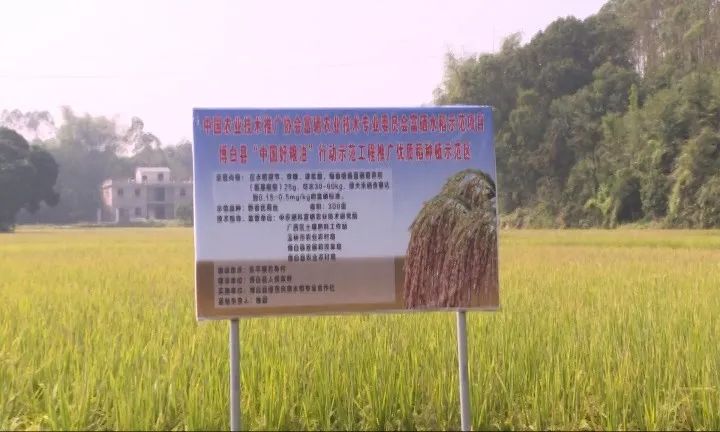 耕富稻富硒大米(大米耕稻富富硒含量多少)-硒宝网