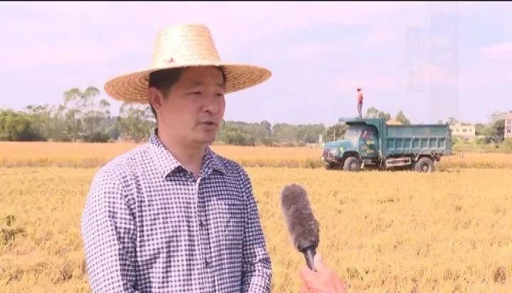 耕富稻富硒大米(大米耕稻富富硒含量多少)-硒宝网