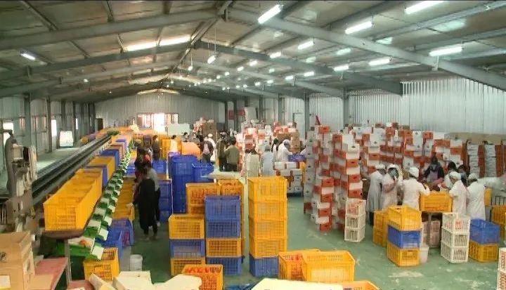 耕富稻富硒大米(大米耕稻富富硒含量多少)-硒宝网