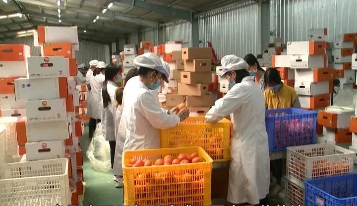 耕富稻富硒大米(大米耕稻富富硒含量多少)-硒宝网