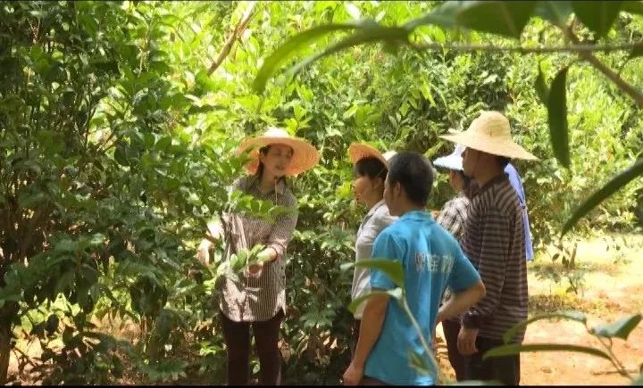 耕富稻富硒大米(大米耕稻富富硒含量多少)-硒宝网