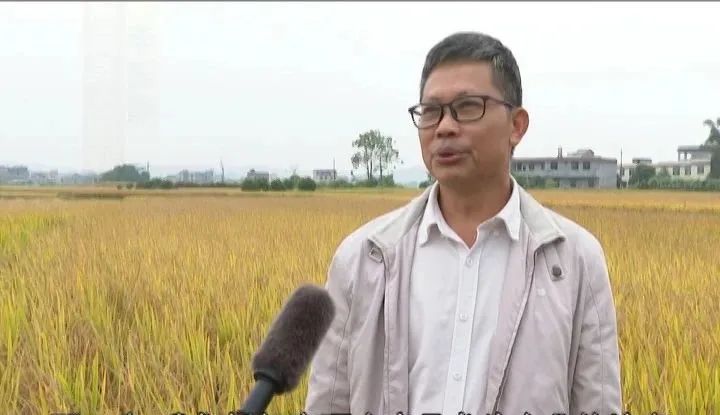 耕富稻富硒大米(大米耕稻富富硒含量多少)-硒宝网