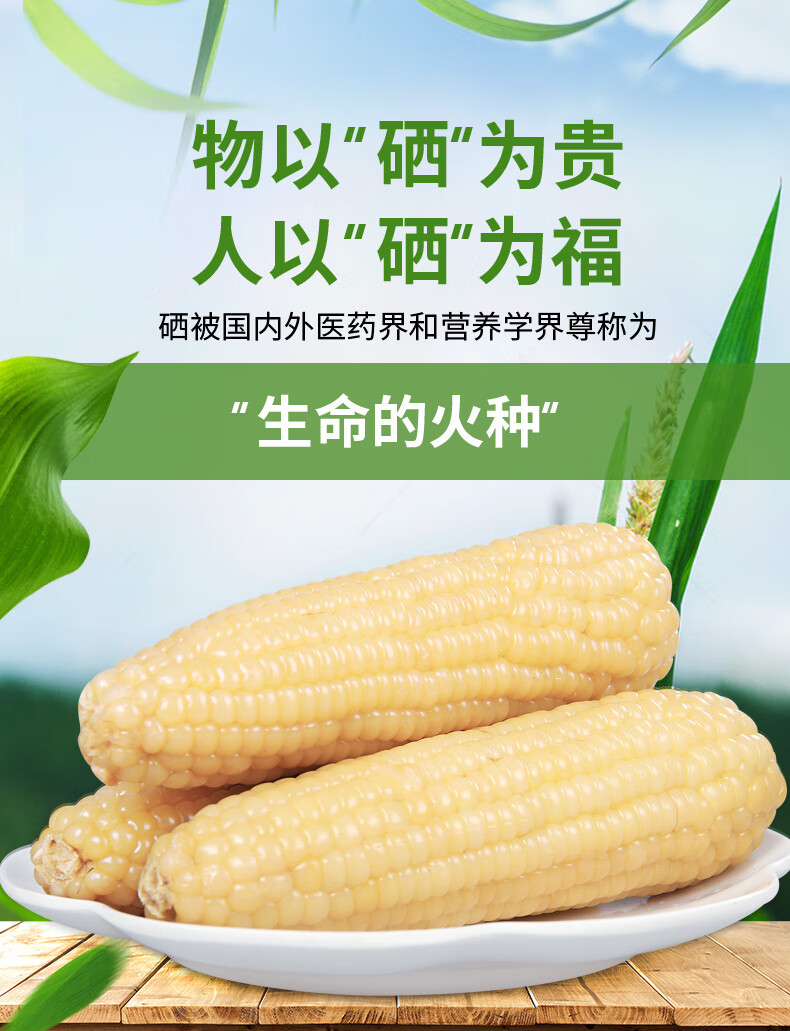 南昌富硒地大米(江西富硒大米基地)-硒宝网