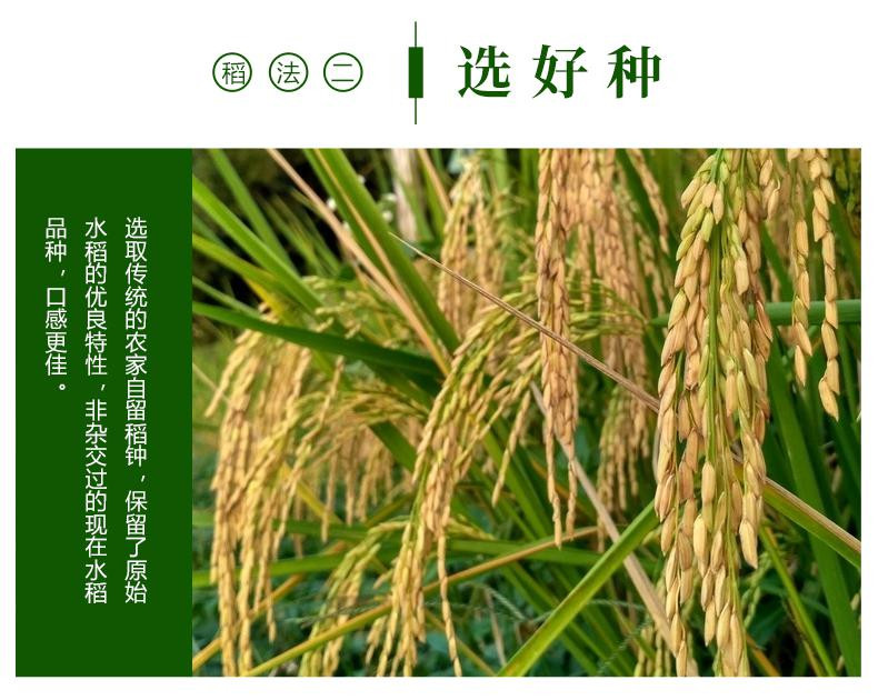 富硒大米 英文(大米英文富硒怎么写)-硒宝网