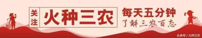 富硒大米怎么分（富硒大米硒含量超标）-硒宝网