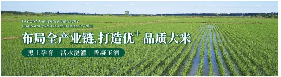 富硒大米稻米油（富硒稻米油的做法和作用）-硒宝网