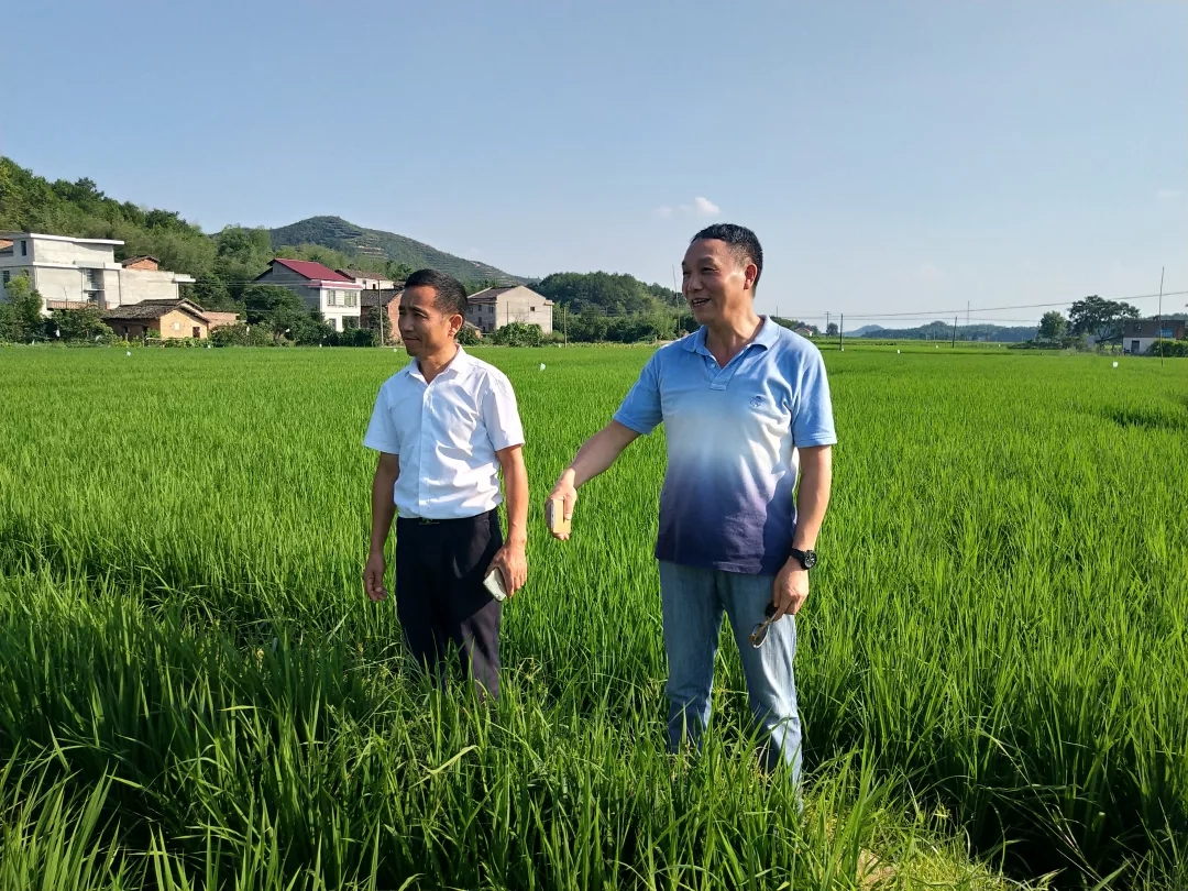 福粮源富硒大米（富硒大米多少钱一袋）-硒宝网