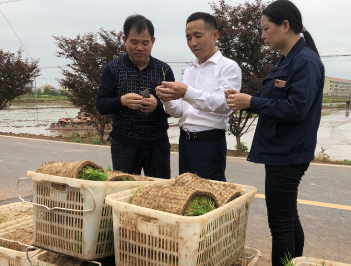 福粮源富硒大米（富硒大米多少钱一袋）-硒宝网