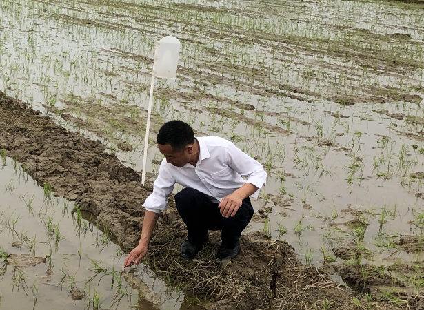 福粮源富硒大米（富硒大米多少钱一袋）-硒宝网