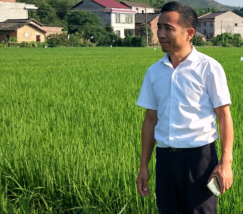 福粮源富硒大米（富硒大米多少钱一袋）-硒宝网