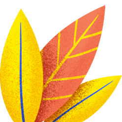 福粮源富硒大米（富硒大米多少钱一袋）-硒宝网