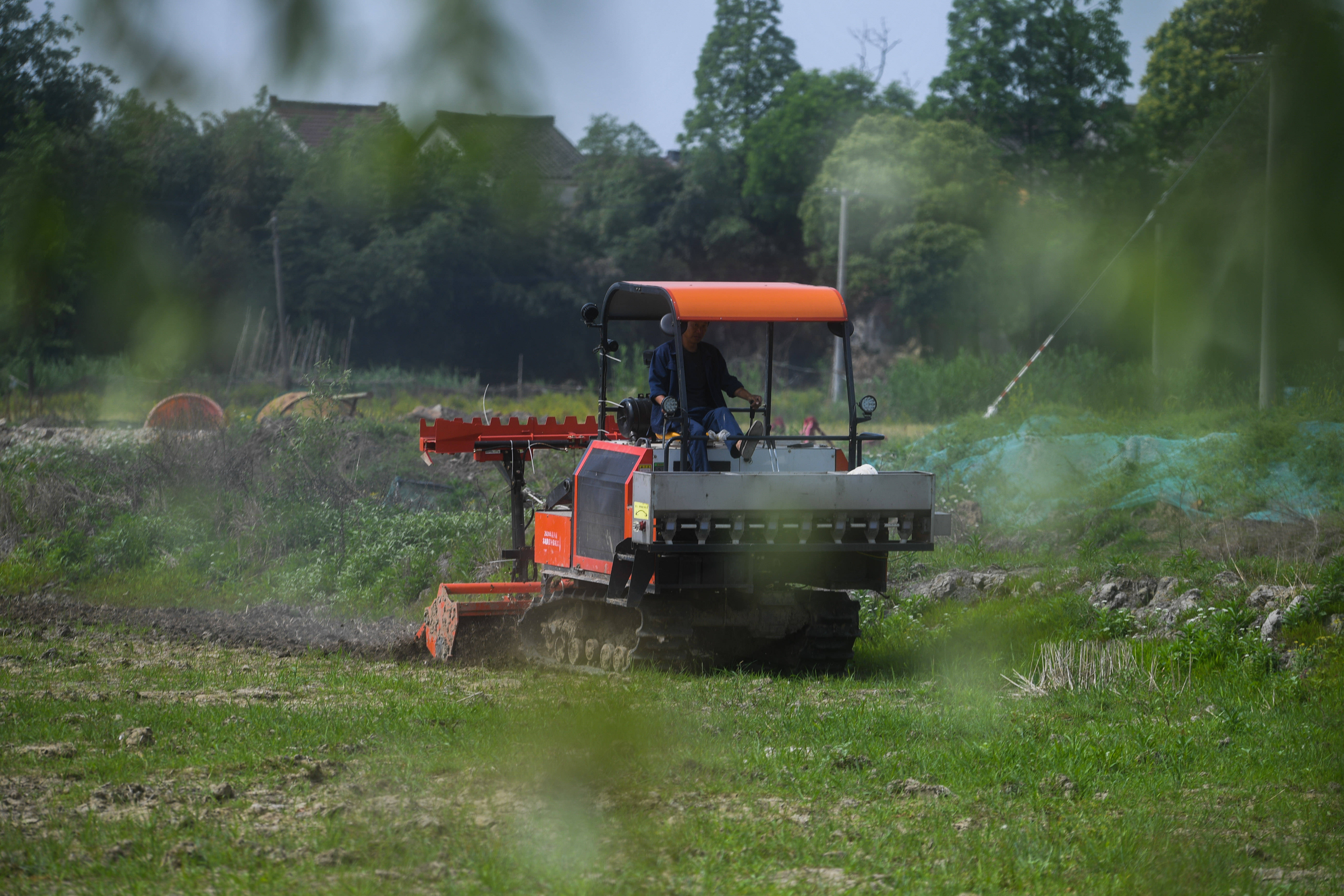 古河道富硒大米(富硒大米之乡)-硒宝网