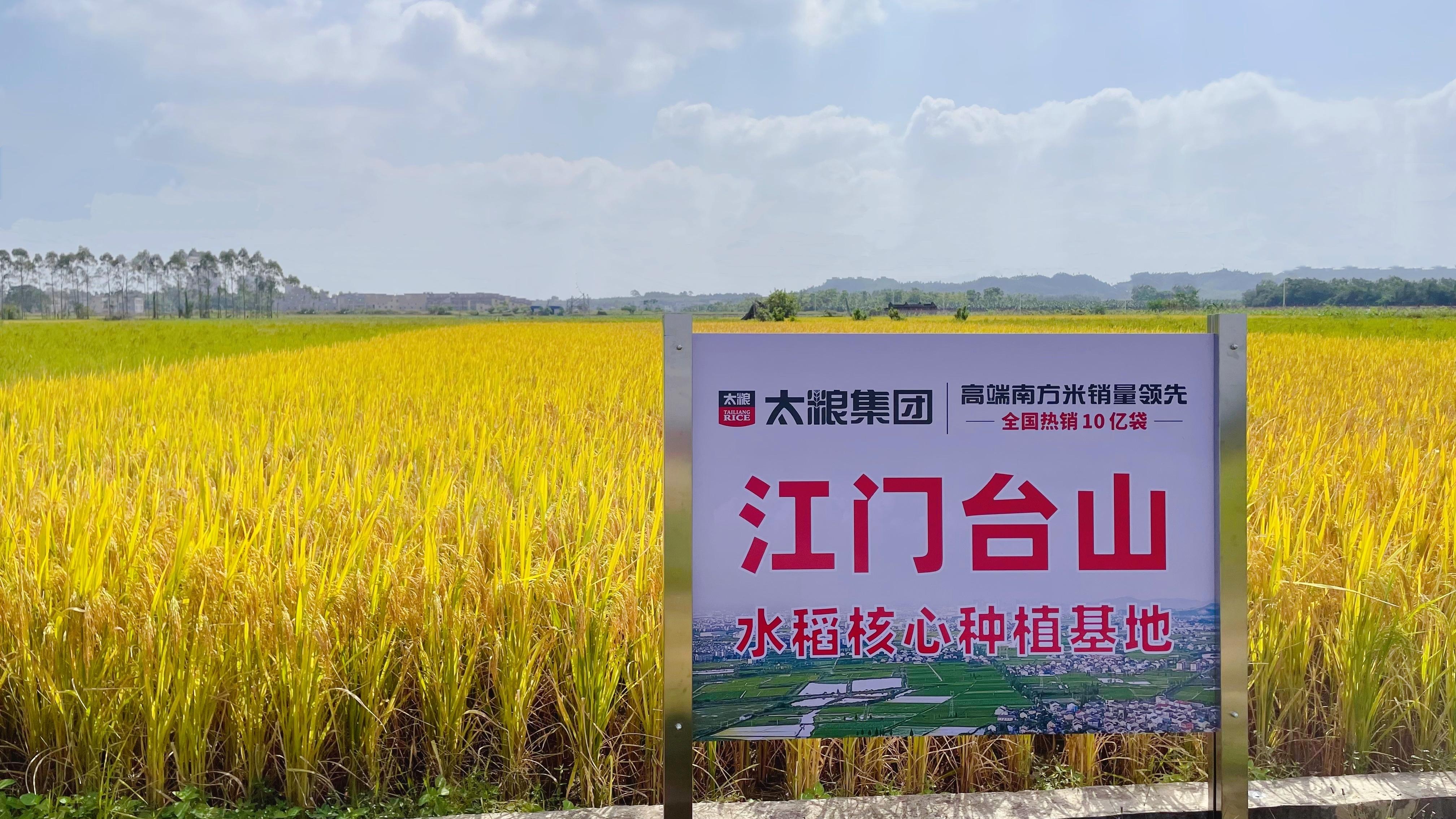 富硒的大米品种(哪种富硒大米好)-硒宝网