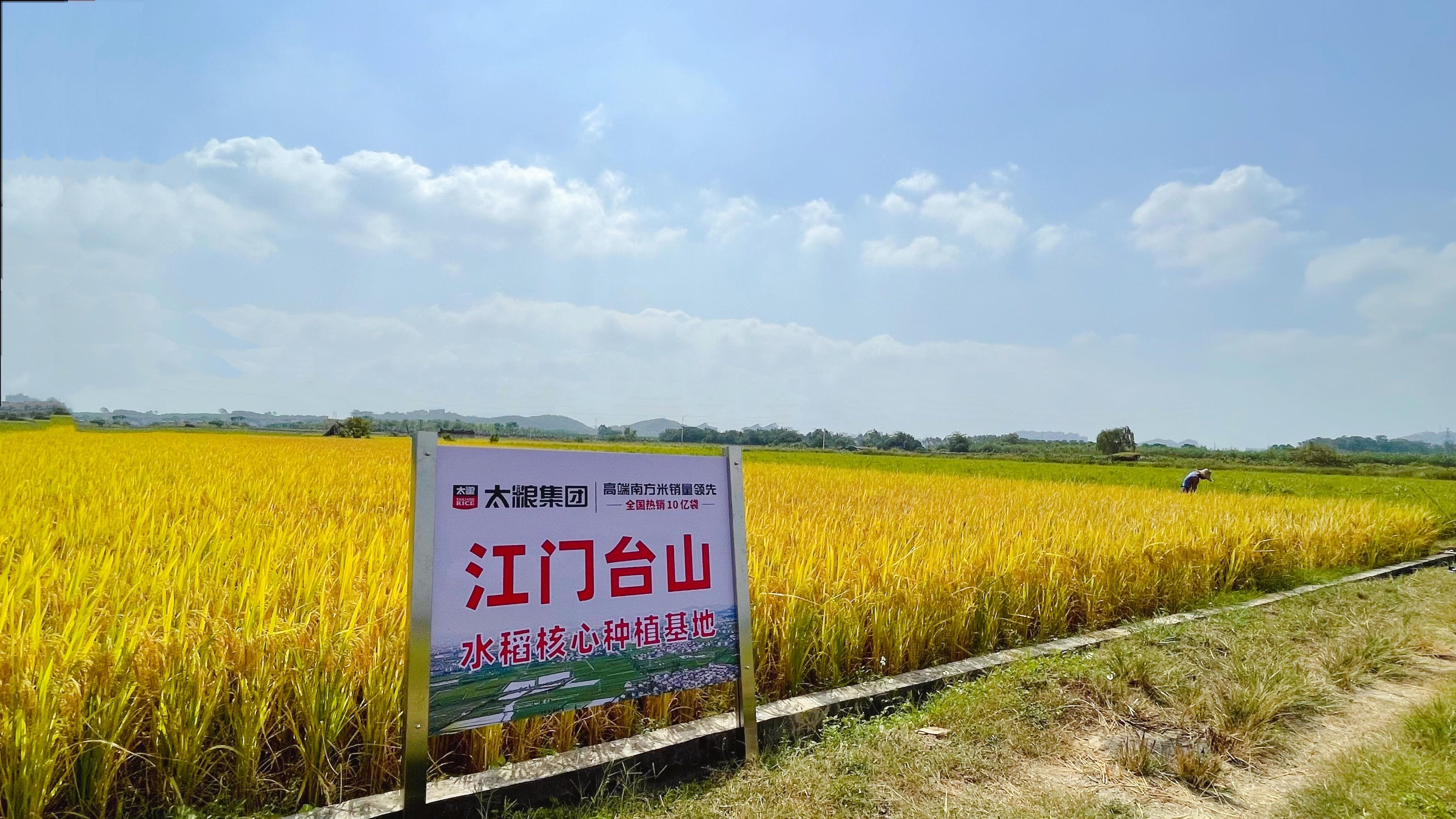 富硒的大米品种(哪种富硒大米好)-硒宝网