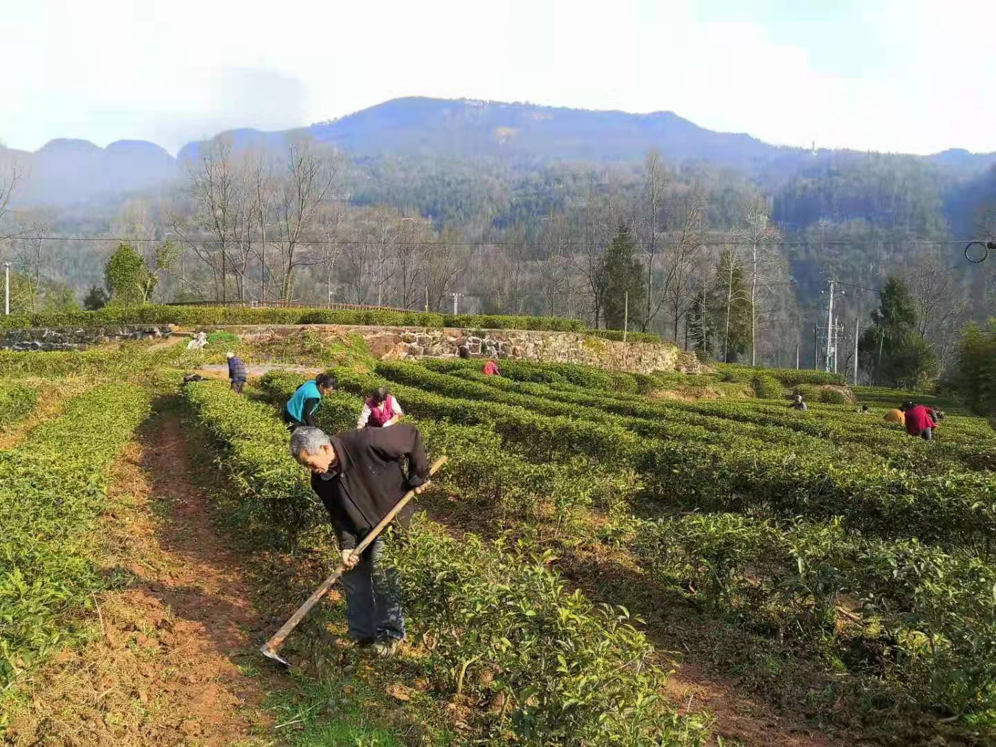 翰林镇富硒大米(汉中富硒大米)-硒宝网
