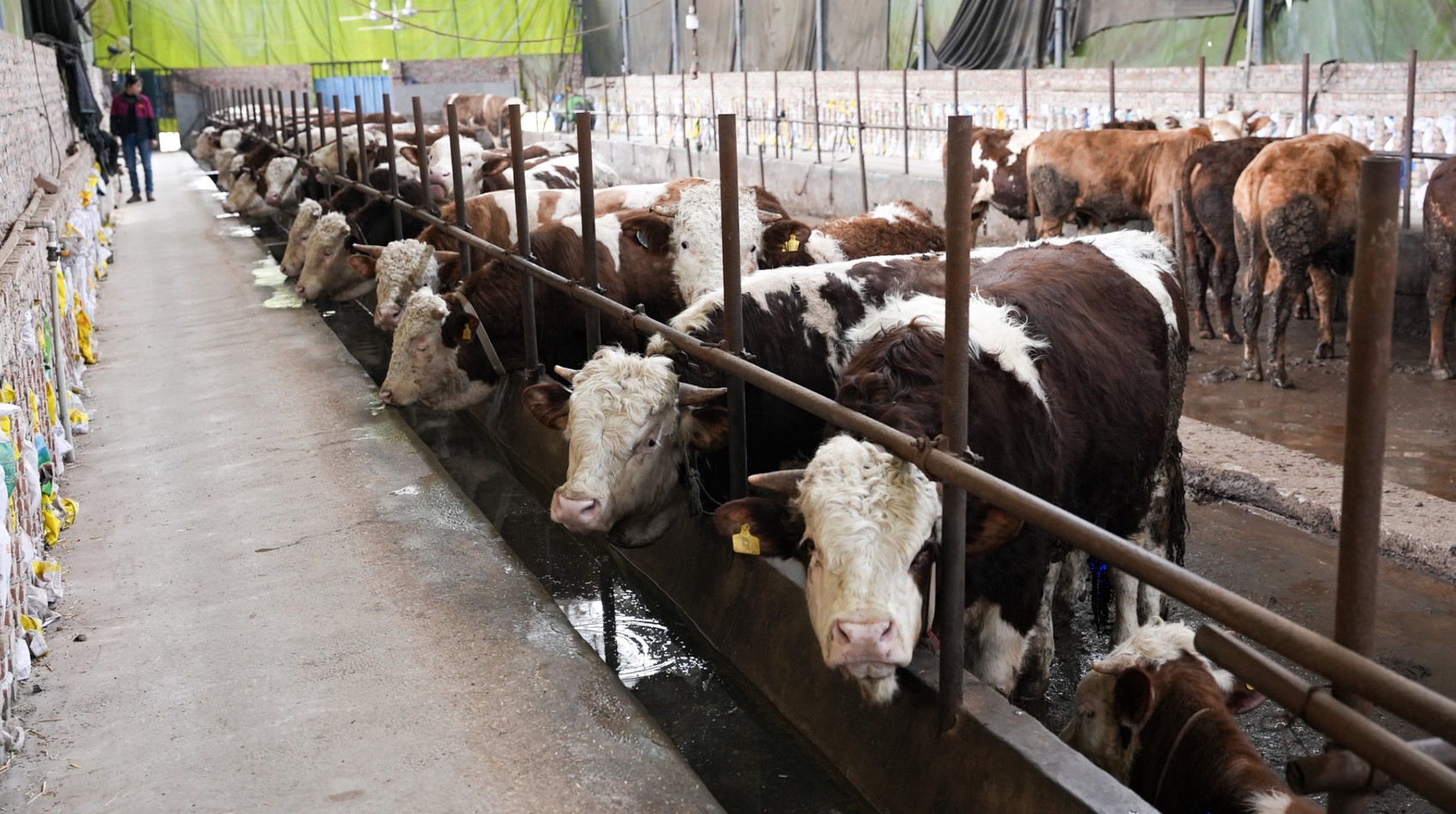 翰林镇富硒大米(汉中富硒大米)-硒宝网