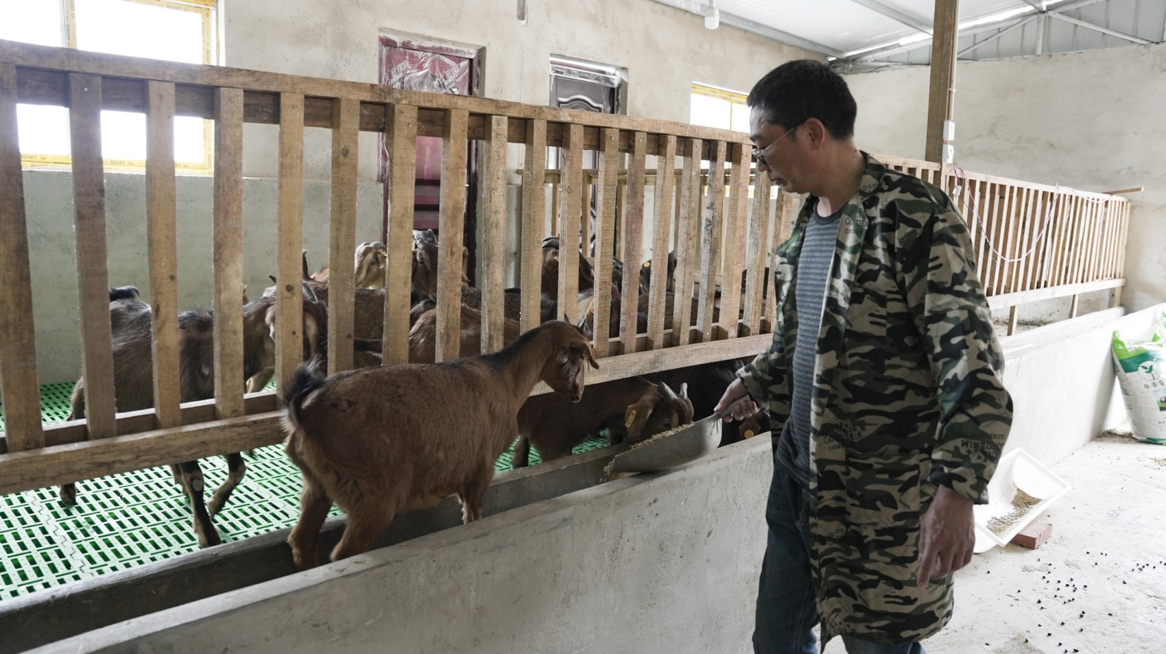 翰林镇富硒大米(汉中富硒大米)-硒宝网