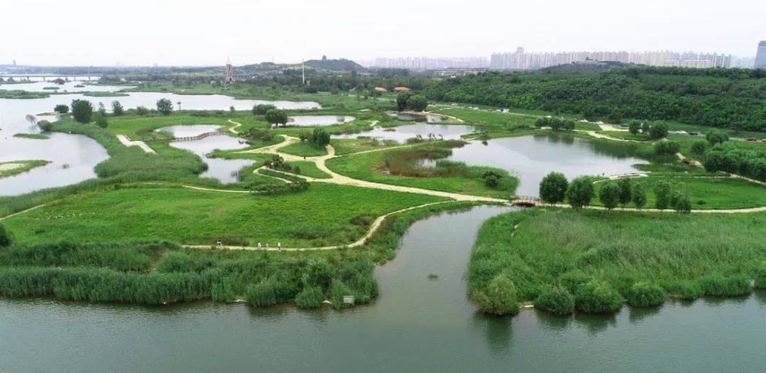 古河道富硒大米(富硒优质大米)-硒宝网