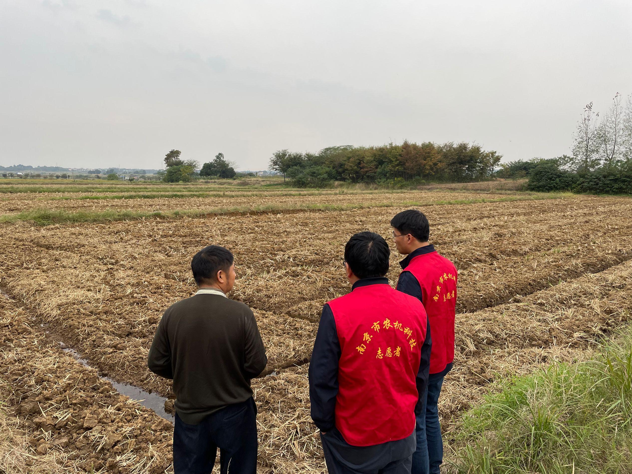 富硒的大米品种(大米品种富硒含量排名)-硒宝网