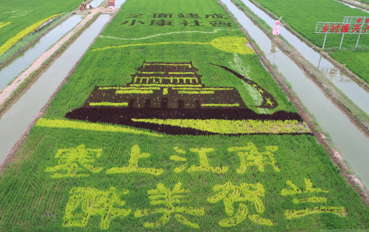 富硒大米 昊帅（富硒大米logo）-硒宝网