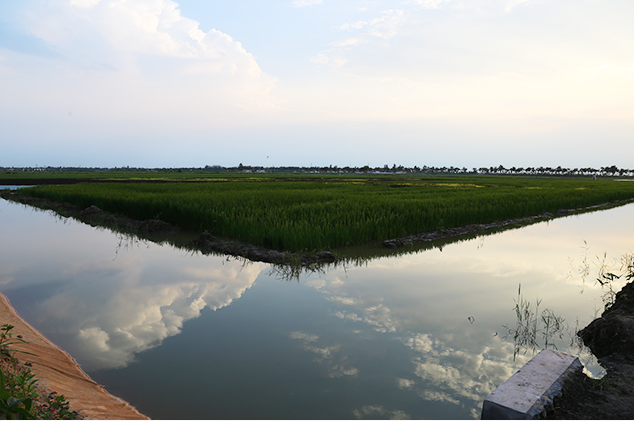 富硒大米 昊帅（富硒大米logo）-硒宝网