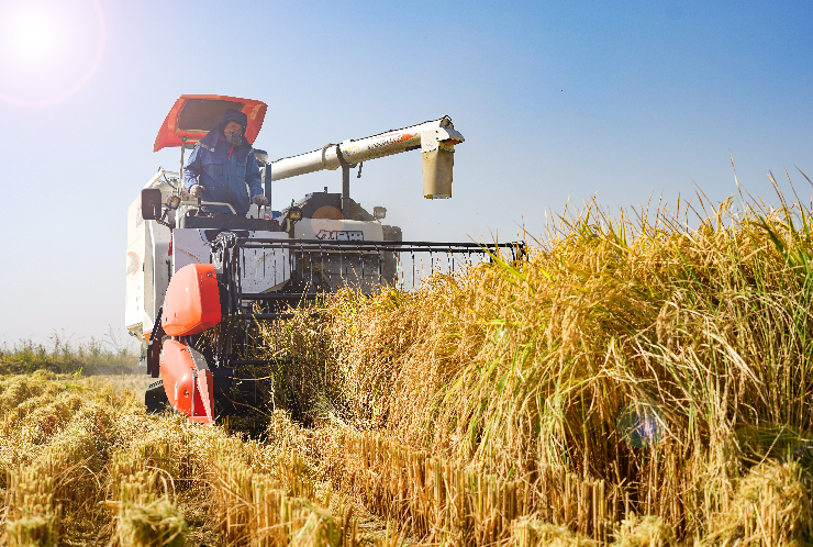 富硒大米 昊帅（富硒大米logo）-硒宝网