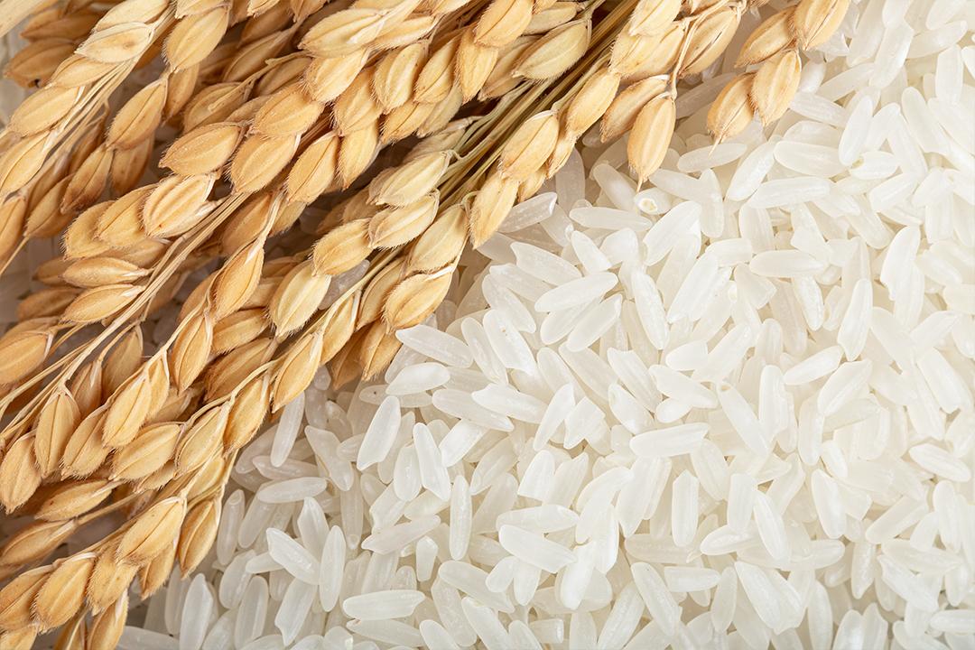 富硒大米水文案（富硒大米广告文案）-硒宝网