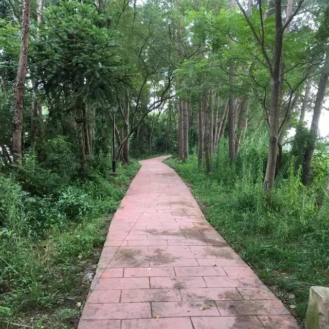 古河道富硒大米(鱼河富硒大米包装)-硒宝网