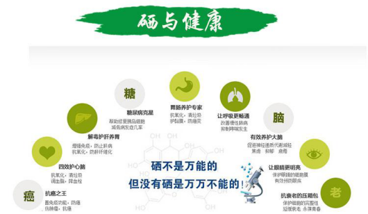 巴马的富硒大米(大米巴马富硒含量高吗)-硒宝网