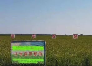 巴马的富硒大米(大米巴马富硒含量高吗)-硒宝网