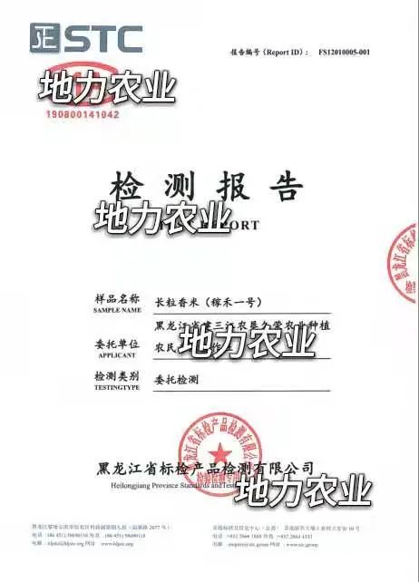 巴马的富硒大米(大米巴马富硒含量高吗)-硒宝网